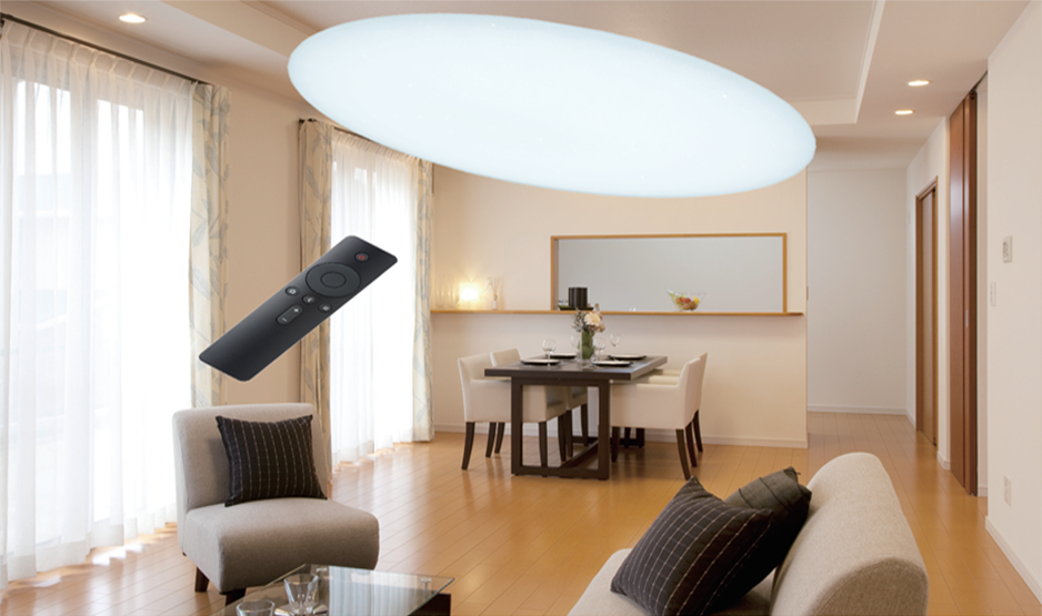 LED Ceiling Light 